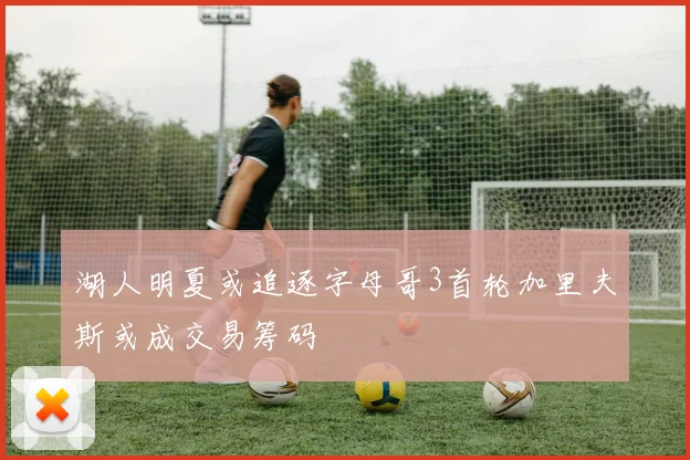 湖人明夏或追逐字母哥3首轮加里夫斯或成交易筹码