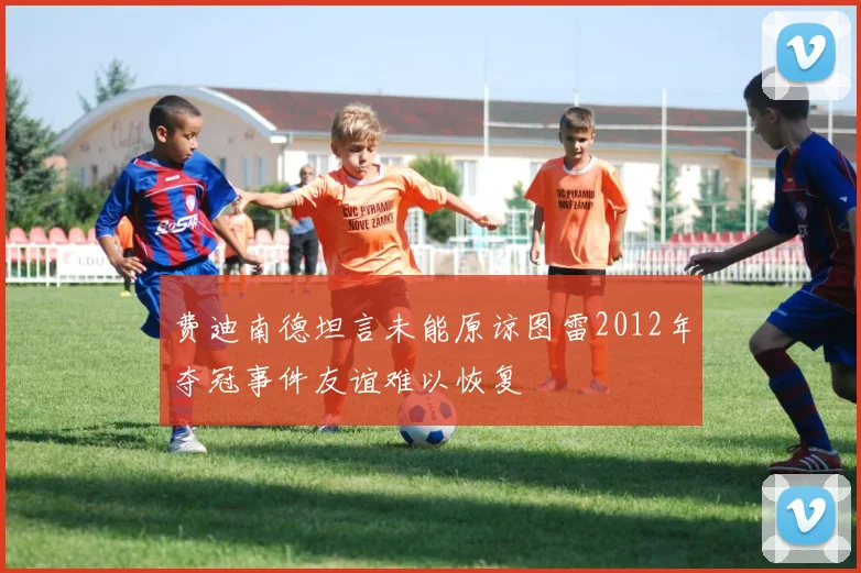 费迪南德坦言未能原谅图雷2012年夺冠事件友谊难以恢复