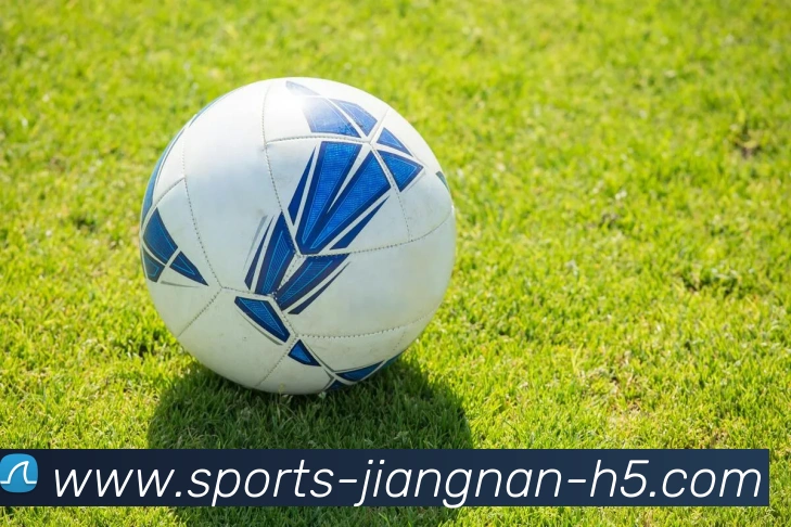 App Interface Preview