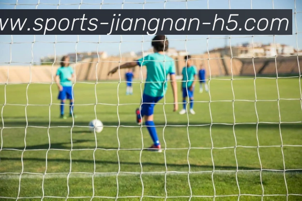 江南体育APP 封面图